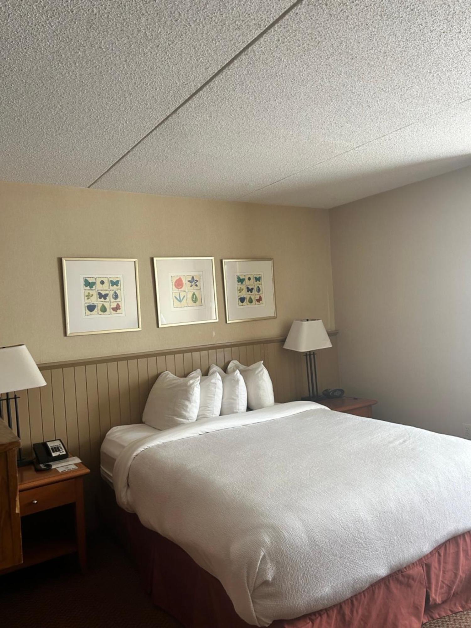 Charlottetown Inn & Conference Centre Экстерьер фото